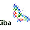 Web Blogg Ciba Spezialitätenchemie AG
